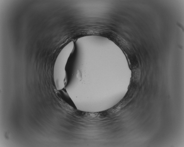 X0000097760329200804041131