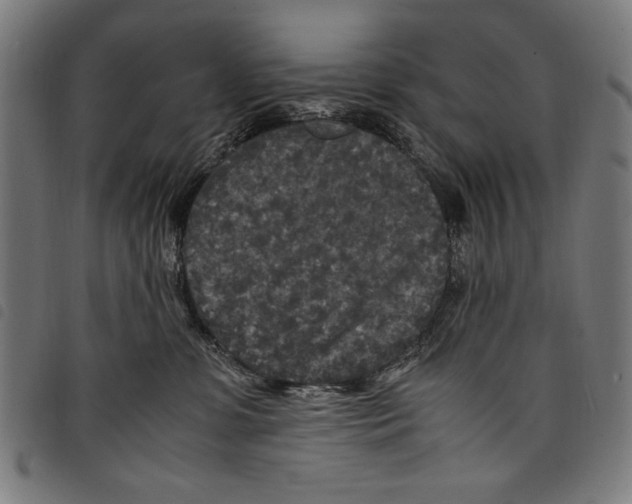 X0000097760331200804041131