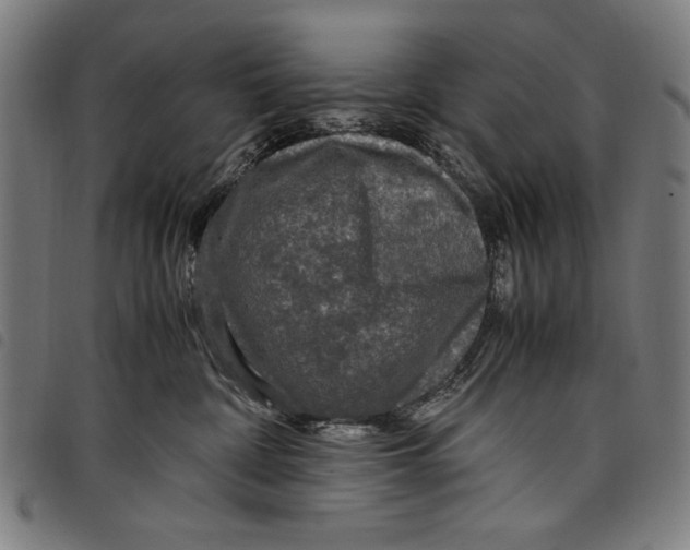 X0000097760332200804041131