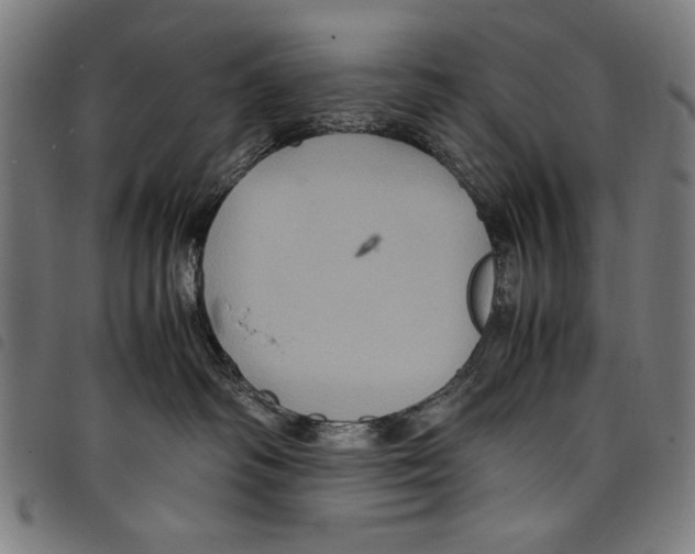 X0000097760334200804041131