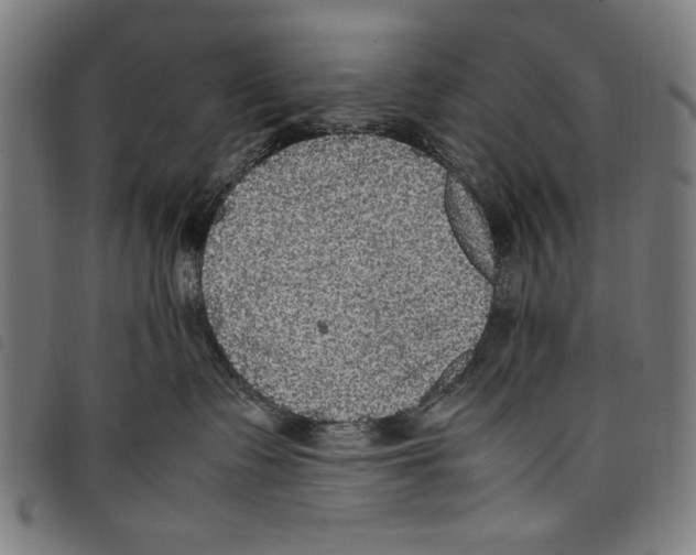 X0000097760335200804041131