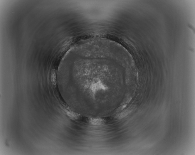 X0000097760336200804041131