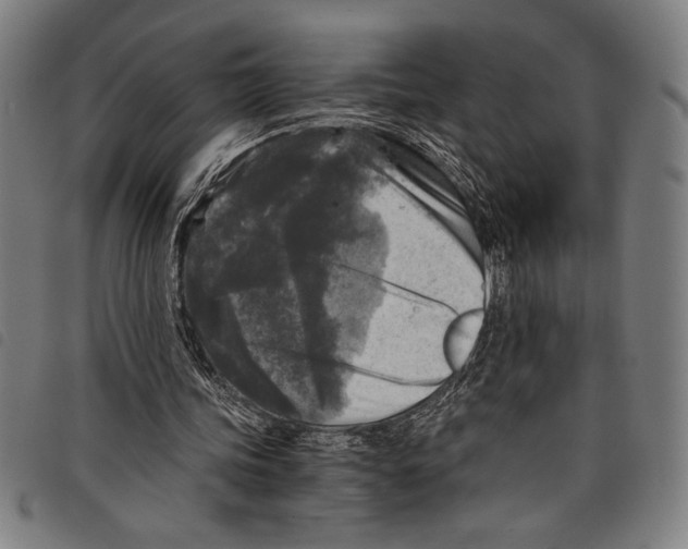 X0000097760339200804041130