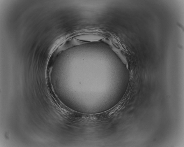 X0000097760340200804041130