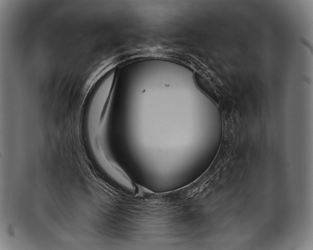 X0000097760344200804041130