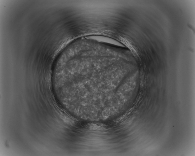 X0000097760346200804041131