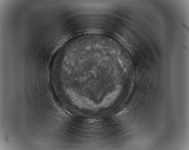 X0000097760347200804041131