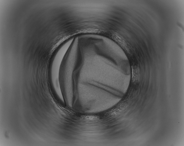 X0000097760348200804041131