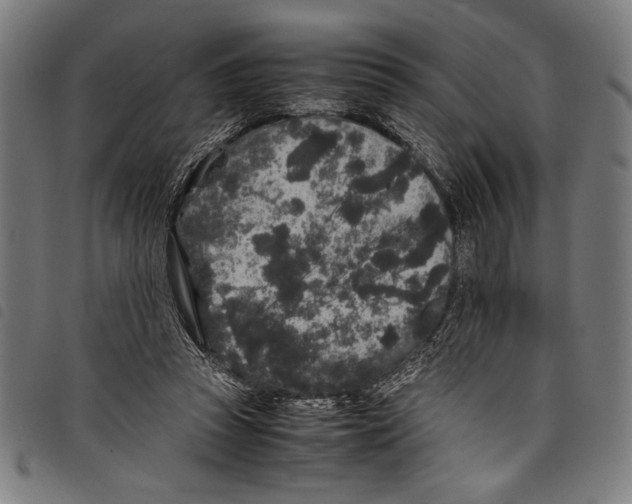 X0000097760353200804041131