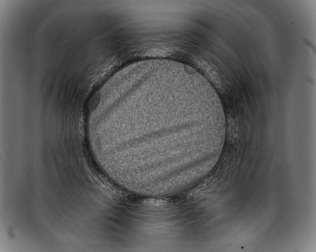 X0000097760354200804041131