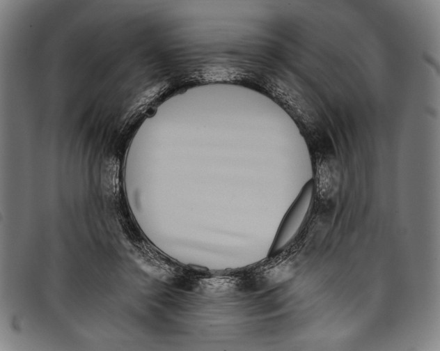 X0000097760356200804041131