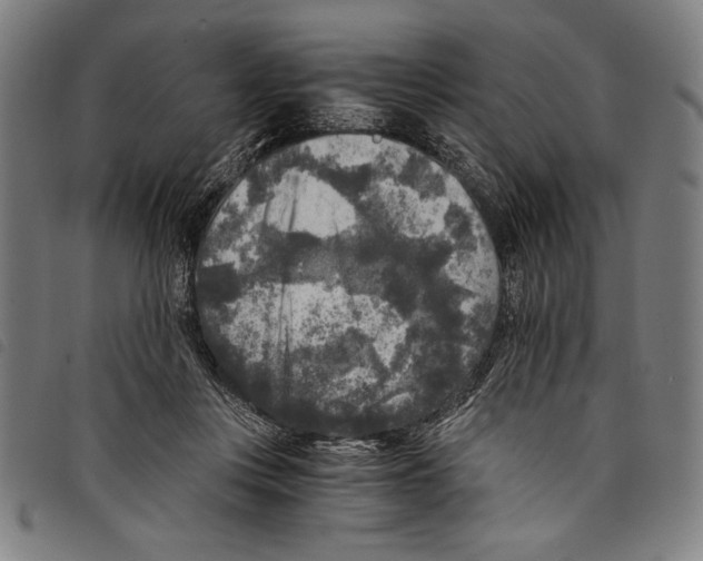 X0000097760359200804041131