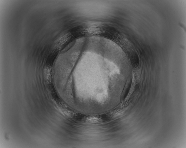 X0000097760360200804041131