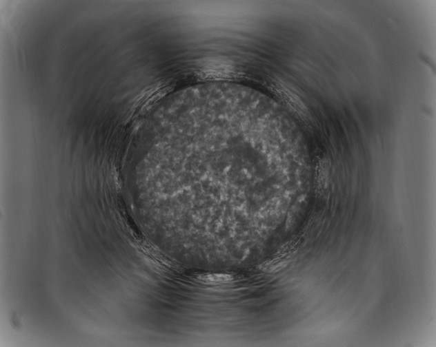 X0000097760361200804041131