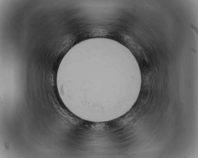 X0000097760362200804041131