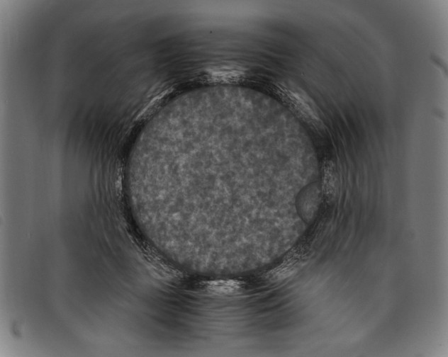 X0000097760363200804041131