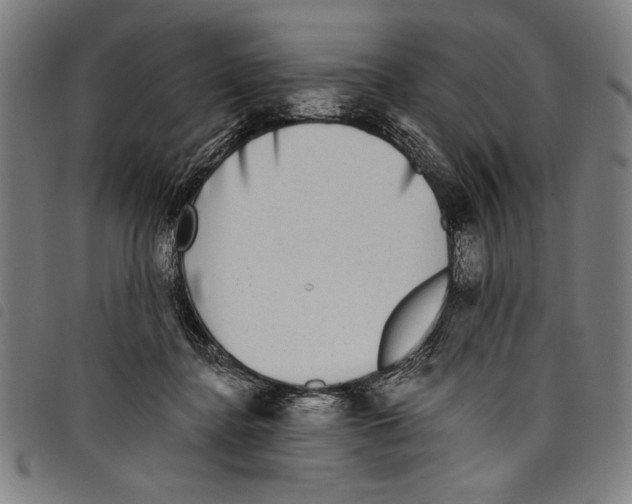 X0000097760364200804041131