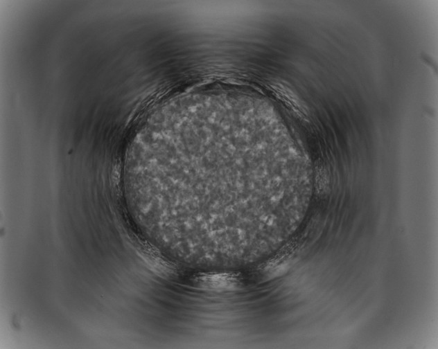 X0000097760365200804041131