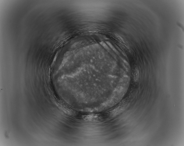 X0000097760366200804041131