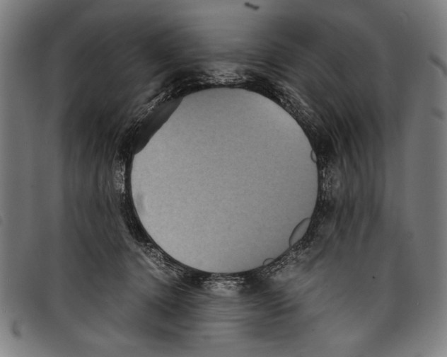 X0000097760368200804041131