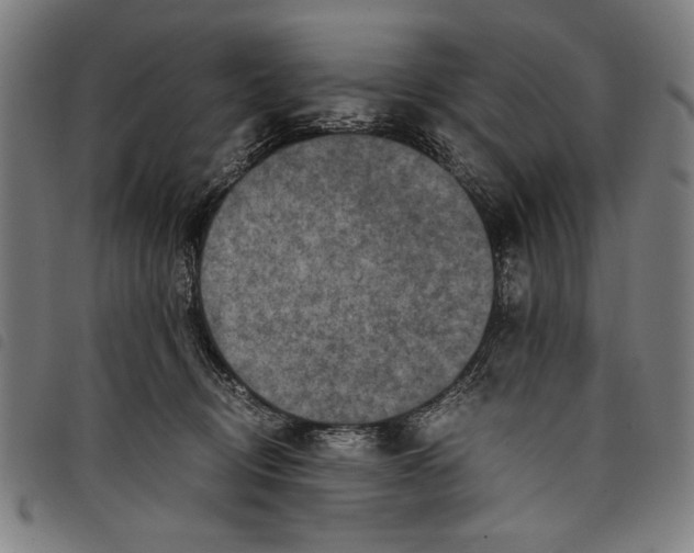 X0000097760370200804041131