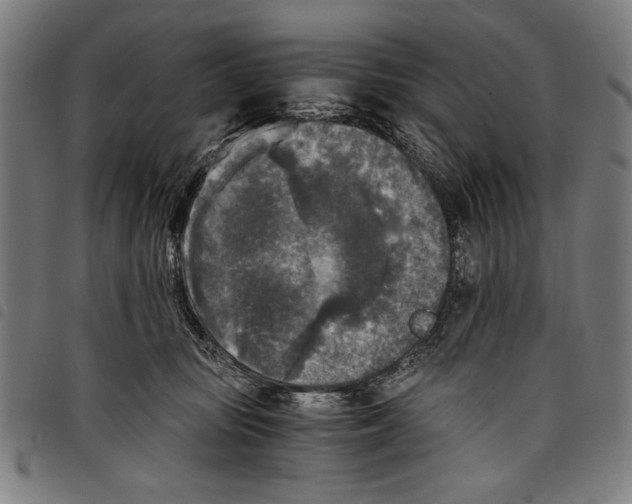 X0000097760371200804041131