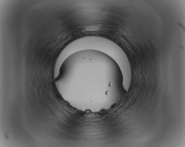 X0000097760372200804041131