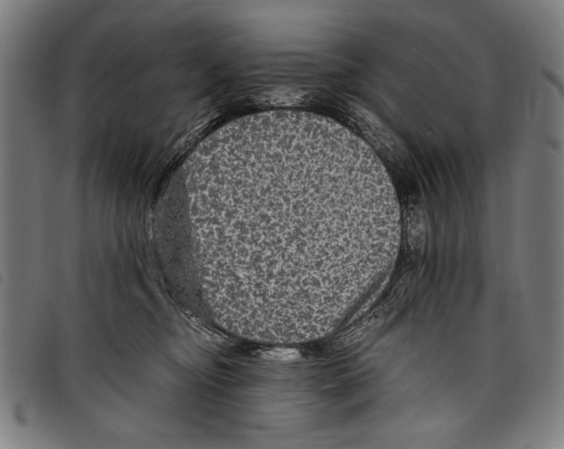 X0000097760374200804041131