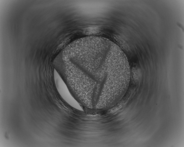 X0000097760380200804041131