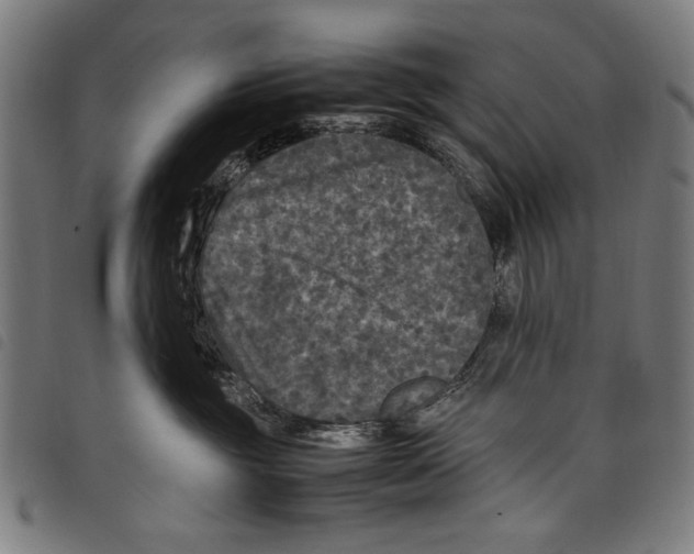 X0000097760381200804041131