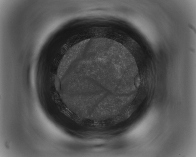 X0000097760383200804041131