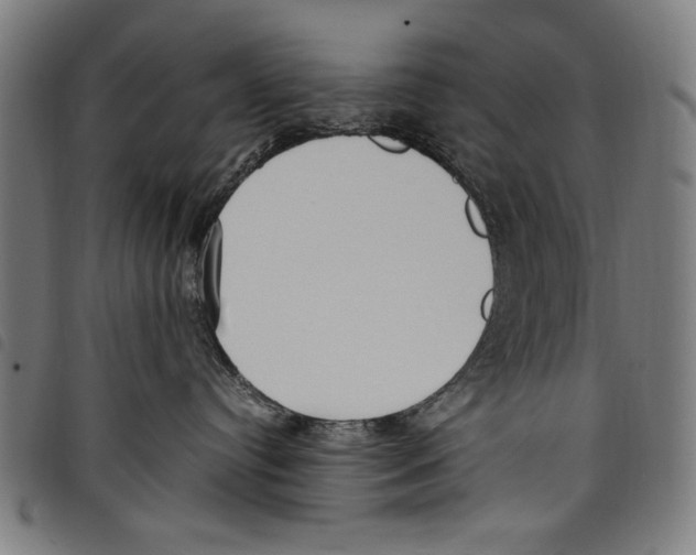 X0000097760384200804041131