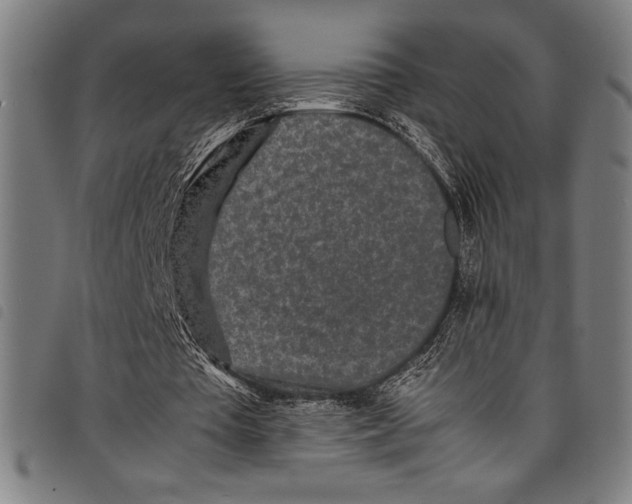 X0000097760385200804041130