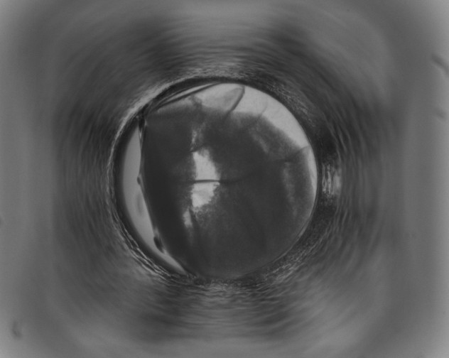 X0000097760388200804041130