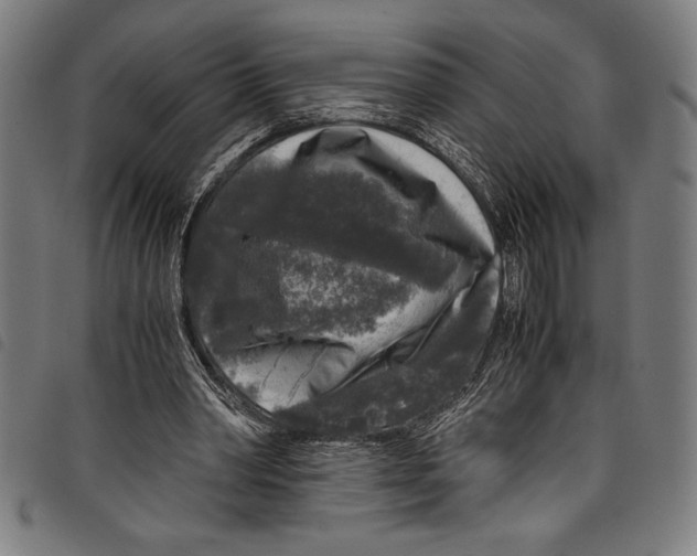 X0000097760390200804041130