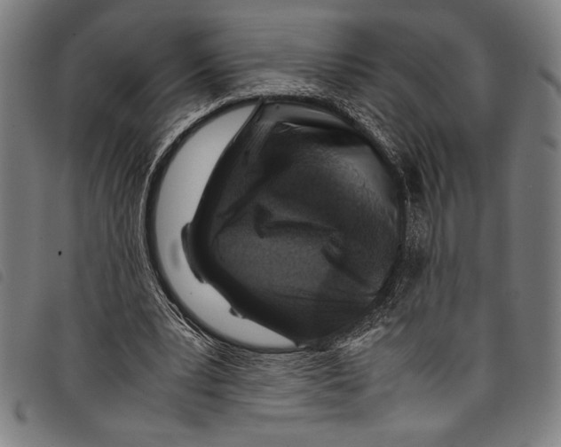 X0000097760391200804041130