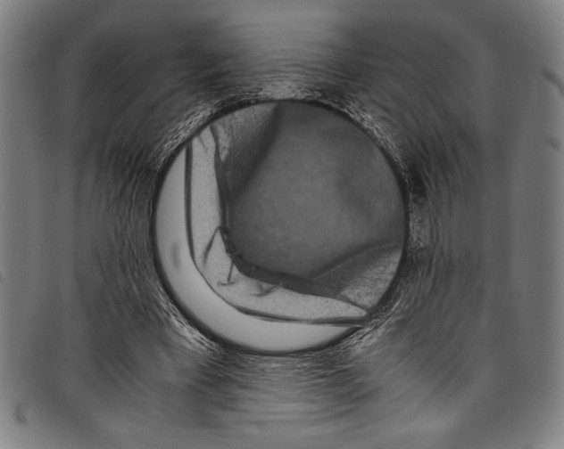 X0000097760393200804041130