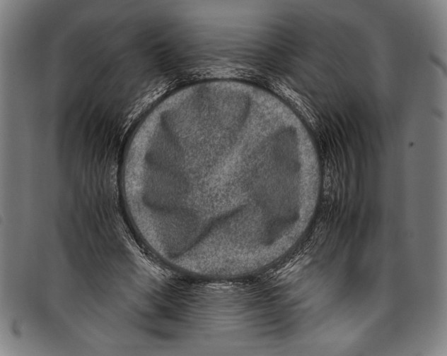 X0000097760394200804041130