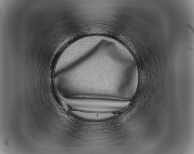 X0000097760395200804041130