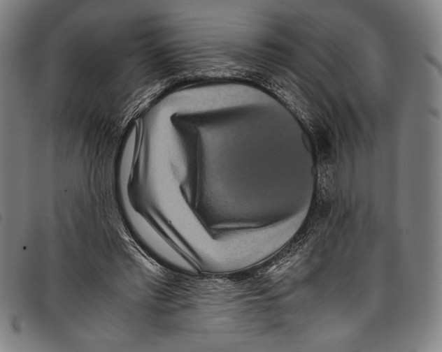 X0000097760397200804041130