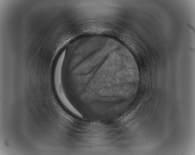 X0000097760399200804041130