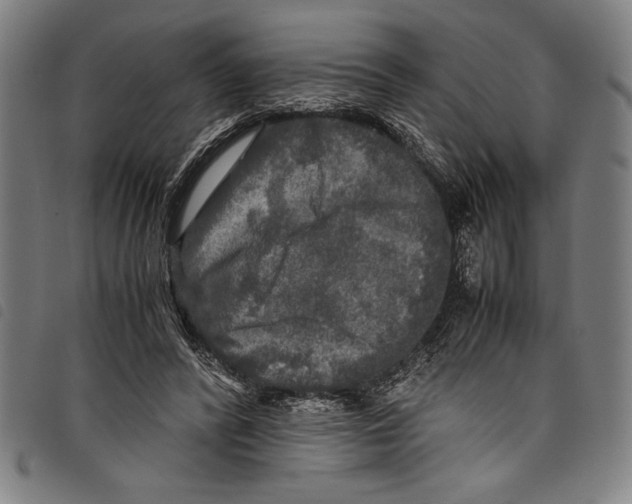 X0000097760400200804041130