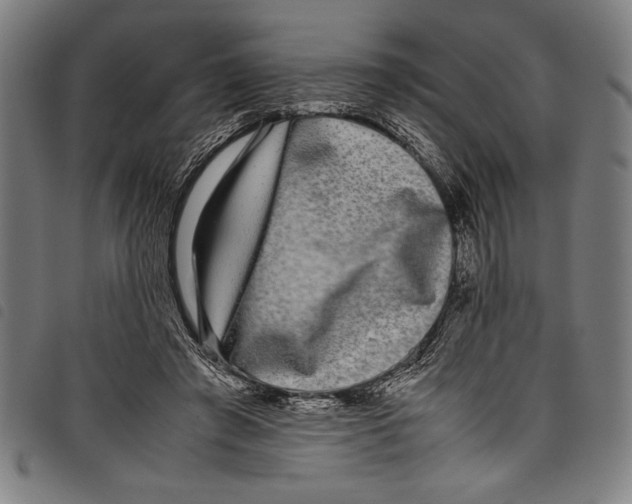 X0000097760401200804041130