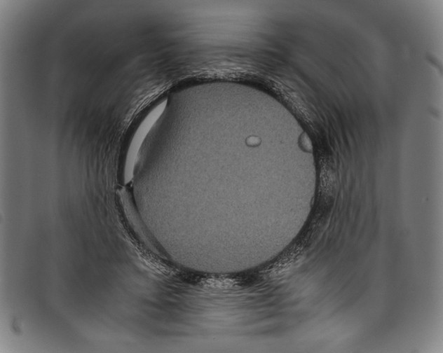 X0000097760403200804041130