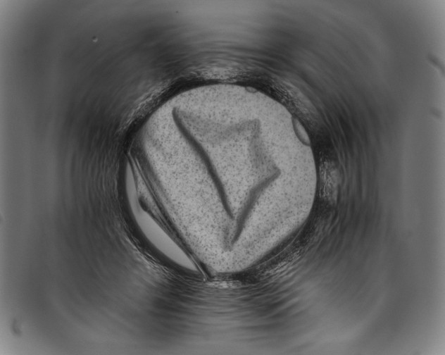 X0000097760404200804041130