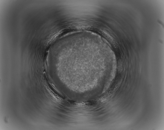 X0000097760405200804041130