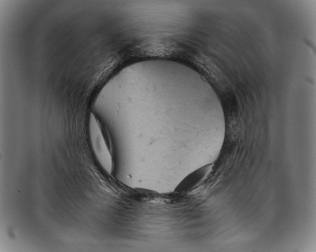 X0000097760407200804041130