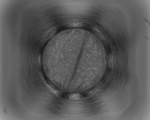 X0000097760410200804041130