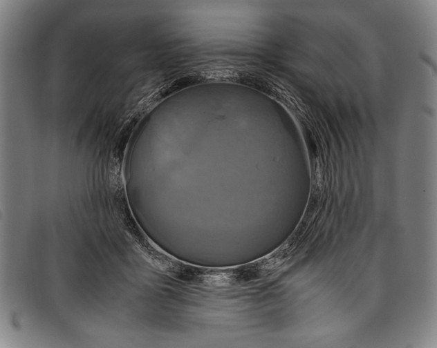 X0000097760411200804041130