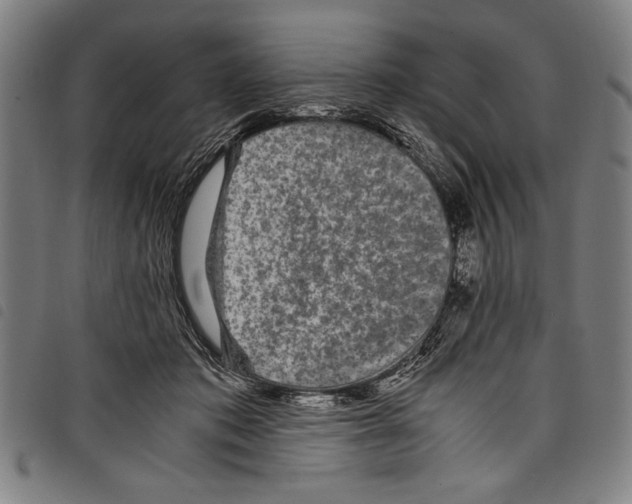 X0000097760413200804041130